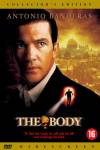 The Body
