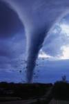 Storm Chasers 2 - Mutiny On The Plains