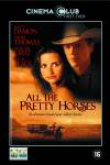 All the Pretty Horses