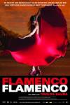 Flamenco, Flamenco