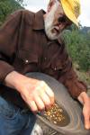 Gold Rush: Alaska: The Ultimate Price